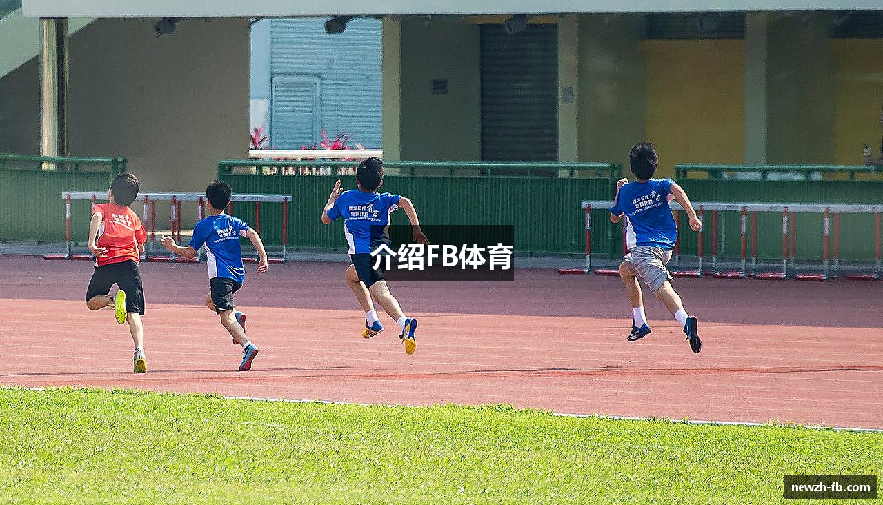 介绍FB体育